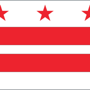 Washington DC Flag 1000